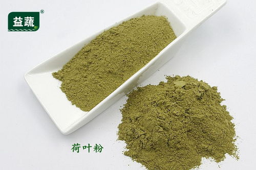 果蔬粉 佛山饮品用果蔬粉行情 王横食品