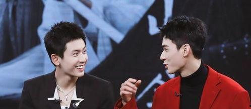 娱乐圈双男主,娱乐圈双男主的璀璨传奇