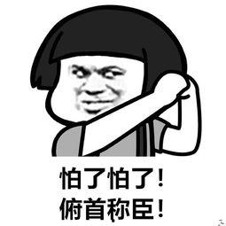 又弄得满手都是什么梗,揭秘“又弄得满手都是”的幽默梗